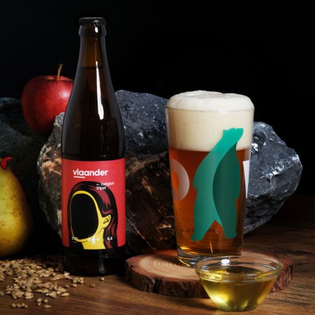 Vlaander - 6 Bottles (size 0,5L)