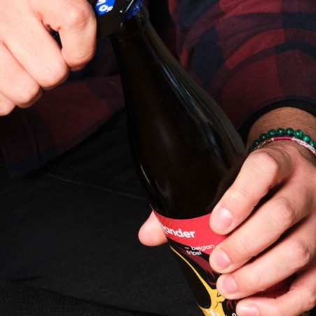 Vlaander - 6 Bottles (size 0,5L)